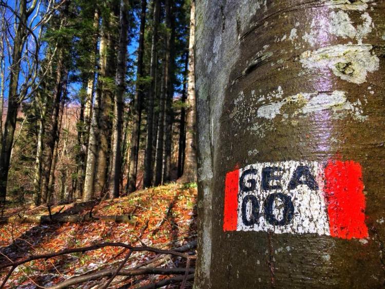 29791811_10216338809210963_4836614611762941017_n